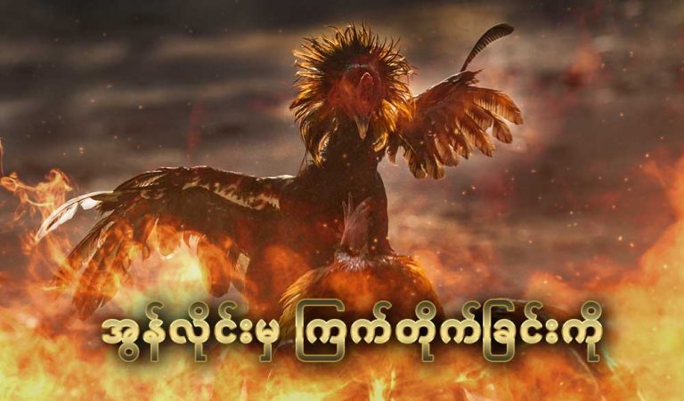 အွန်လိုင်းမှ ကြက်တိုက်ခြင်းကို