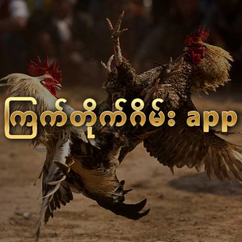 ကြက်တိုက်ဂိမ်း app