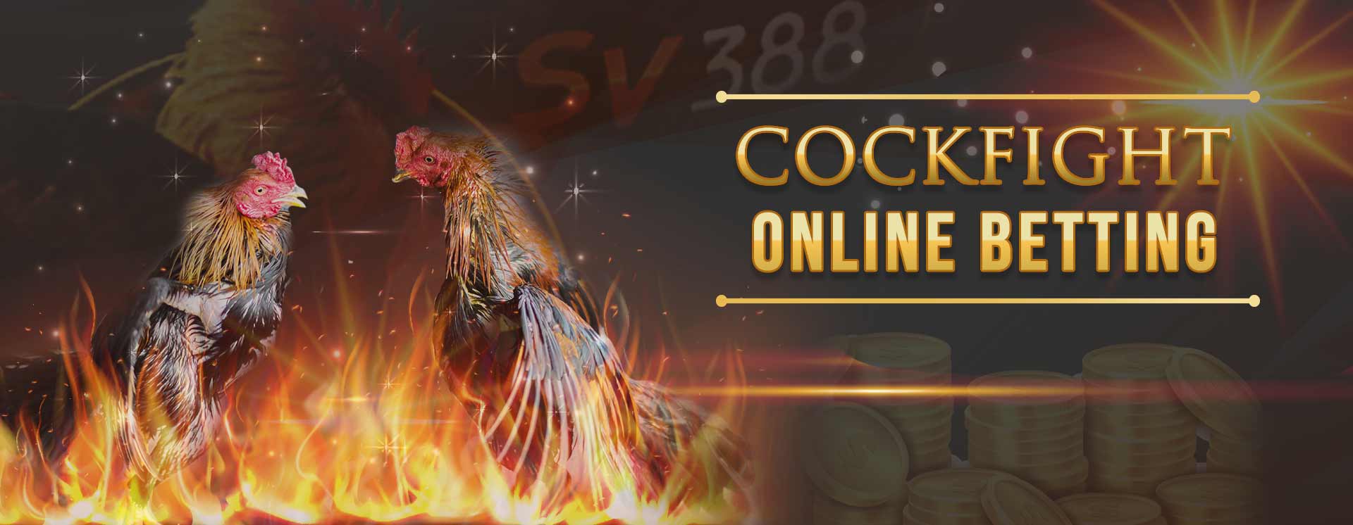 ကြက်တိုက်